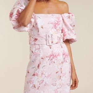 Ever New Melbourne Dress